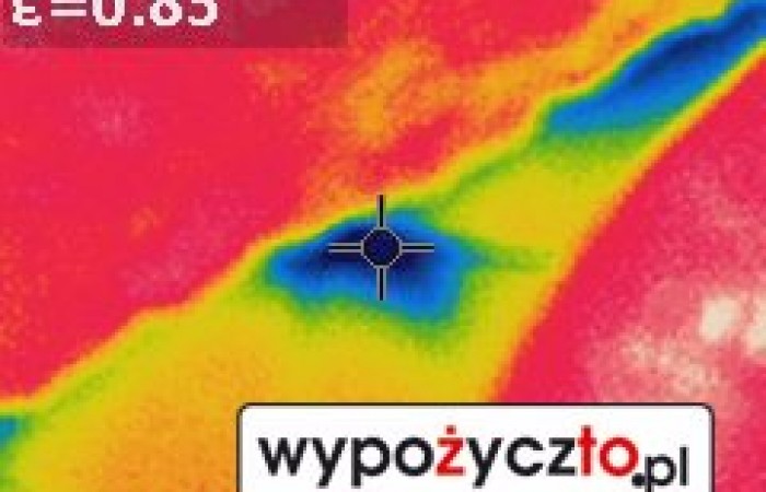 Kamera termowizyjna FLir termowizja (10)
