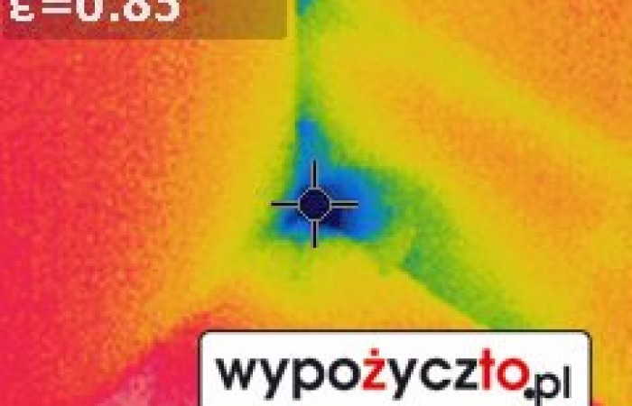 Kamera termowizyjna FLir termowizja (11)
