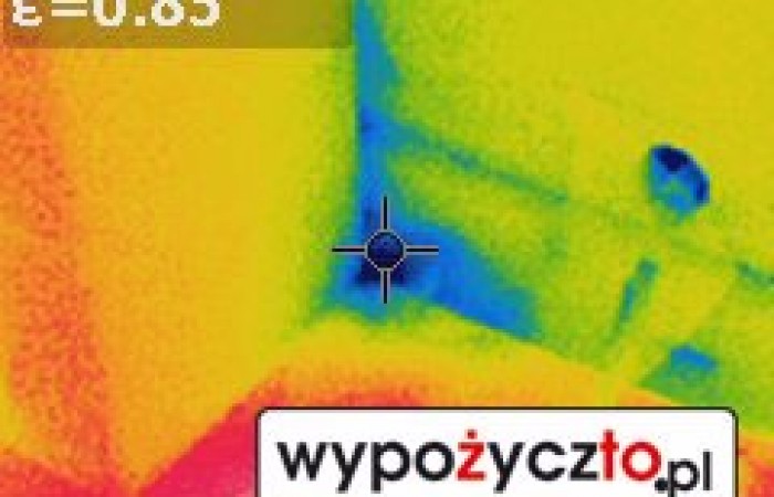 Kamera termowizyjna FLir termowizja (12)