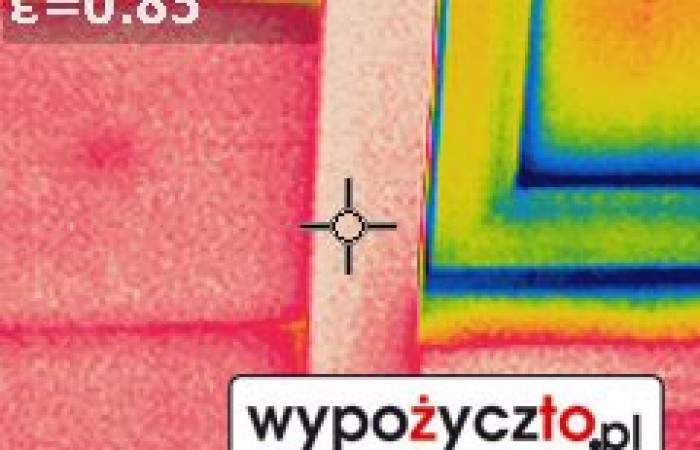 Kamera termowizyjna FLir termowizja (14)