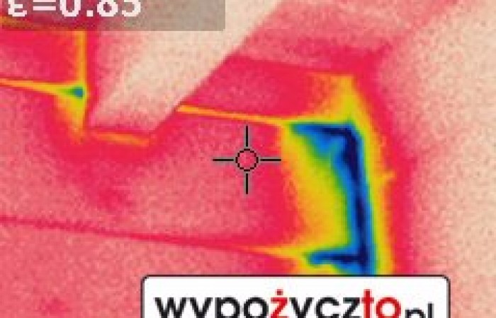 Kamera termowizyjna FLir termowizja (6)