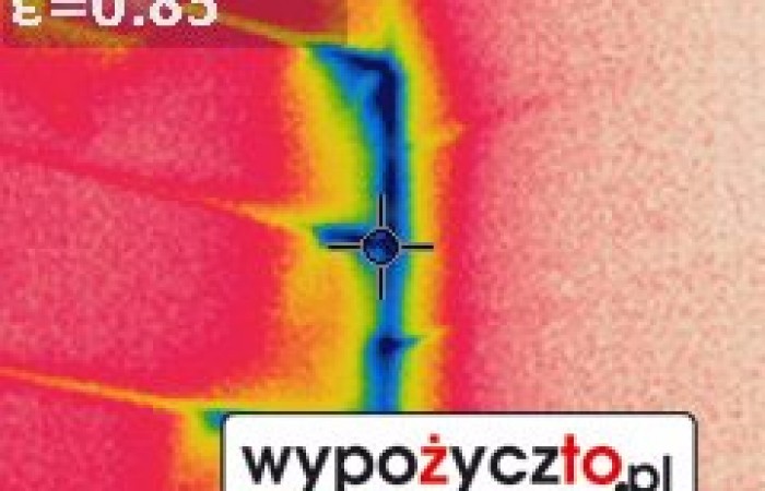 Kamera termowizyjna FLir termowizja (7)