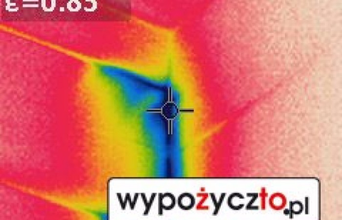 Kamera termowizyjna FLir termowizja (8)