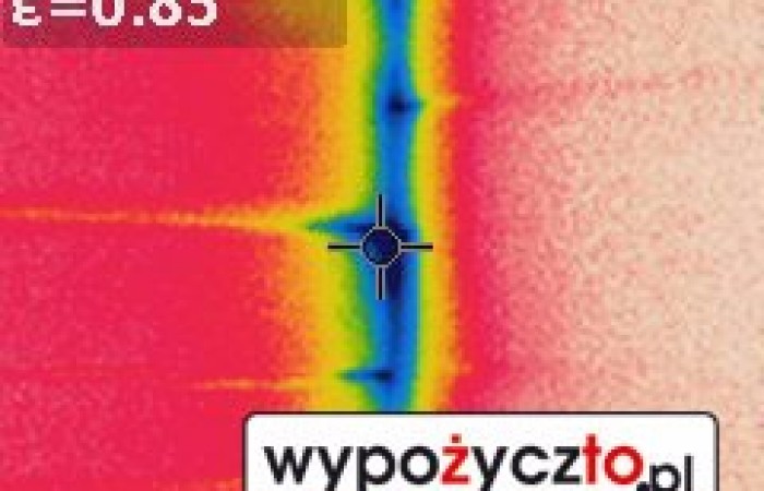 Kamera termowizyjna FLir termowizja (9)